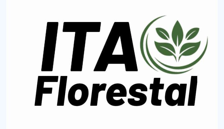 ITA FLORESTAL