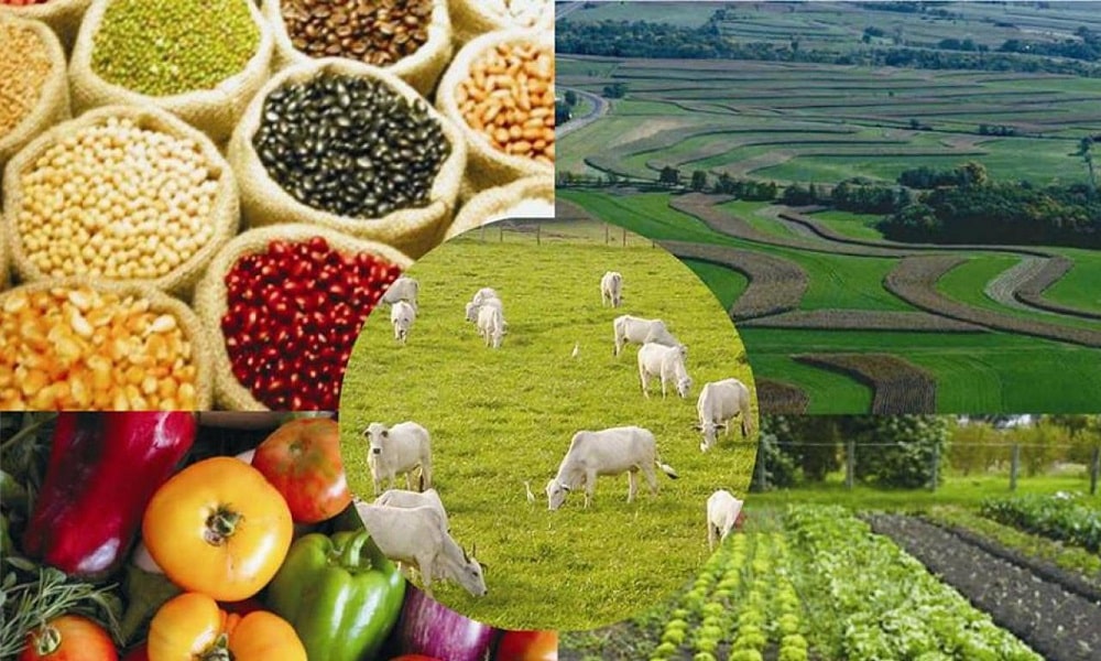 SAFE AGRICOLA