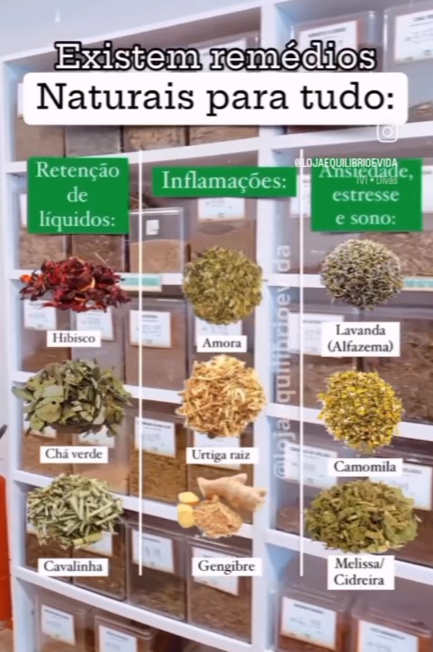 MAIS SAUDE E VIDA PRODUTOS NATURAIS